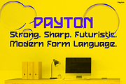 Payton, a Sans Serif Font by Pinisi ART (Thumbnail 10 of 10)
