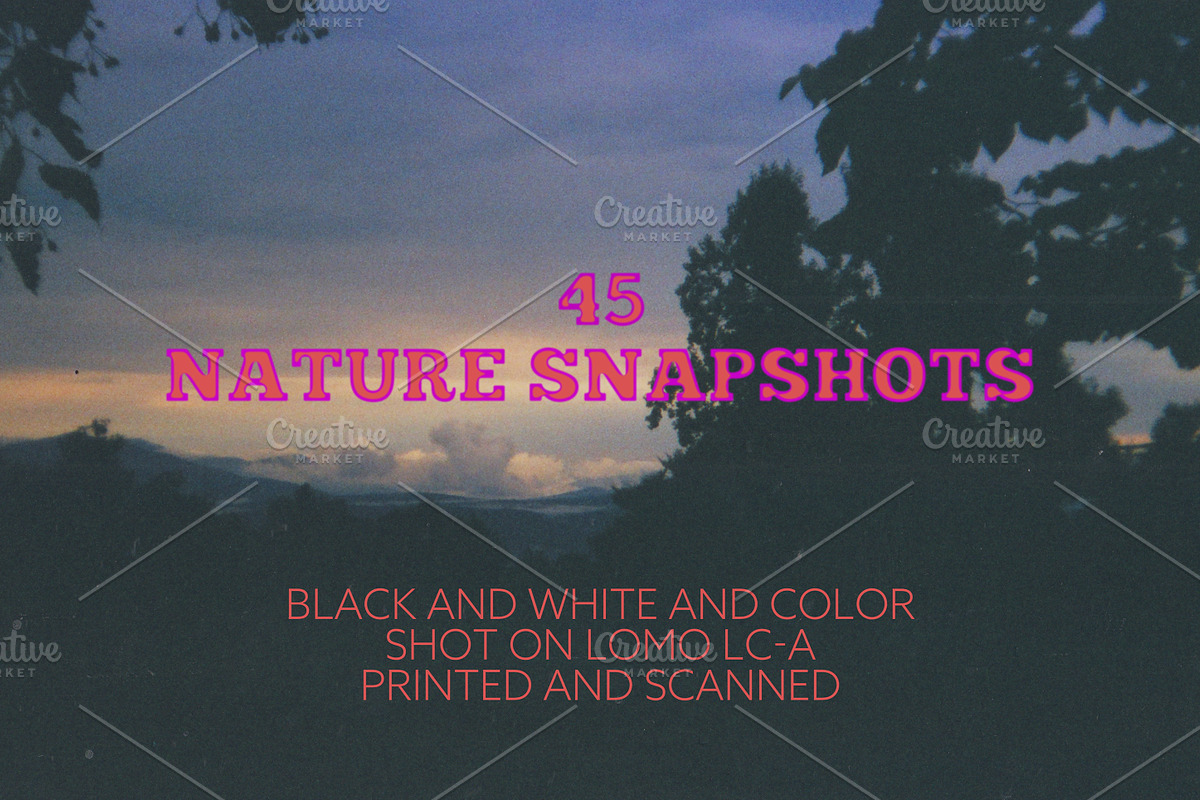 45 Nature Snapshots (Lomo LC-A), a Nature Photo by Studio Rho (Photo 1 of 11)