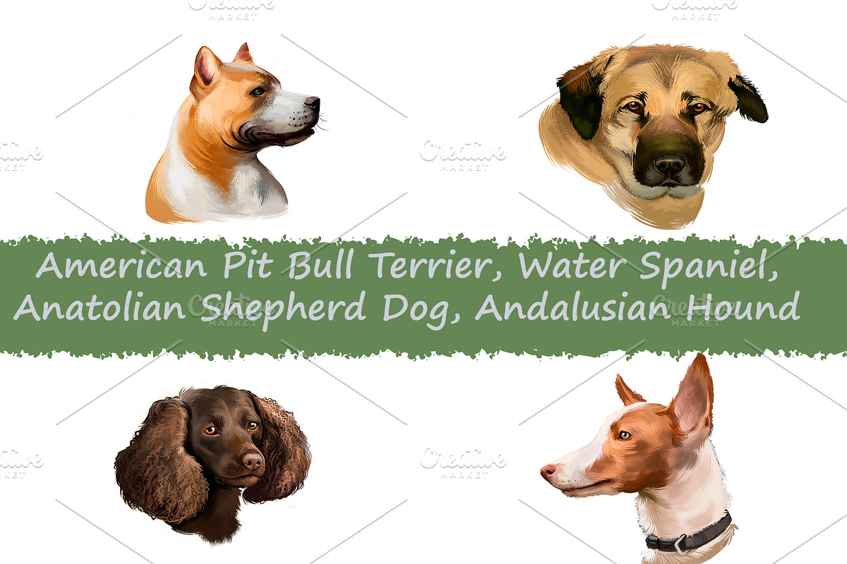 Dogs Pet Portraits Art Print Set 6, an Animal Illustration by Dneprstock (Photo 1 of 5)
