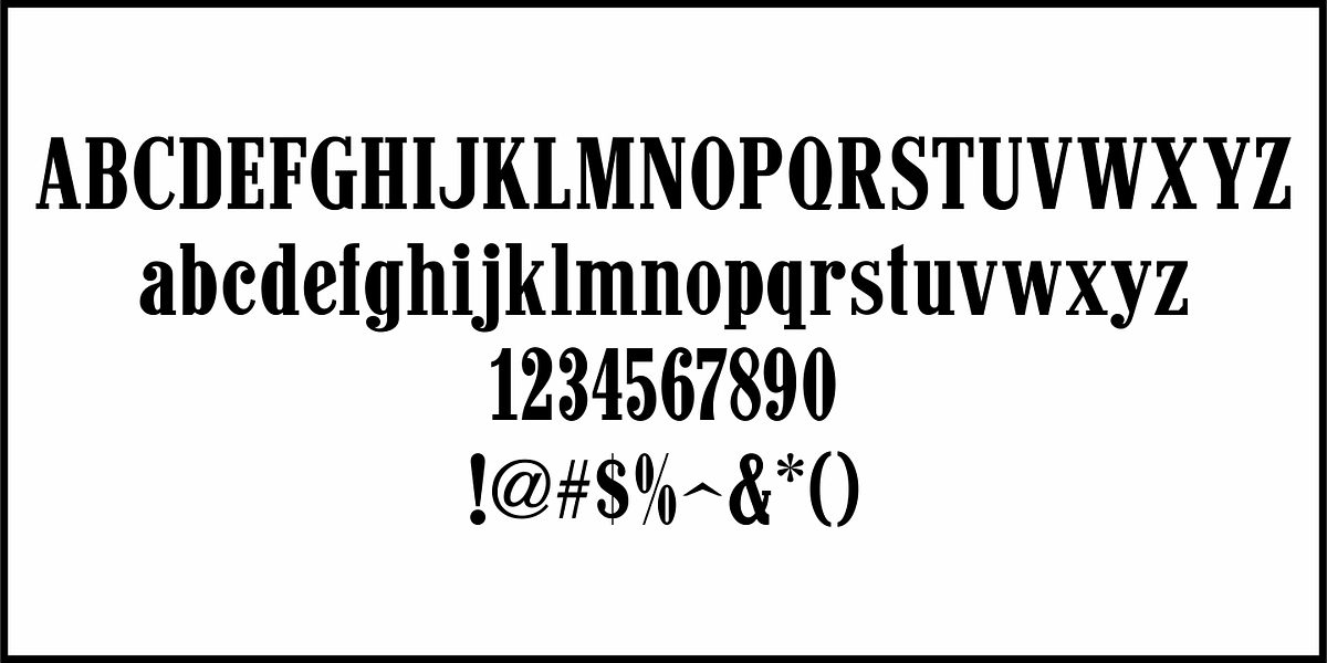 News Article JNL, a Slab Serif Font by Jeff Levine Fonts (Photo 3 of 5)