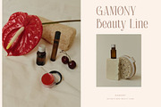 Holscher - Modern Serif Font, a Serif Font by Almeera Std (Thumbnail 6 of 9)