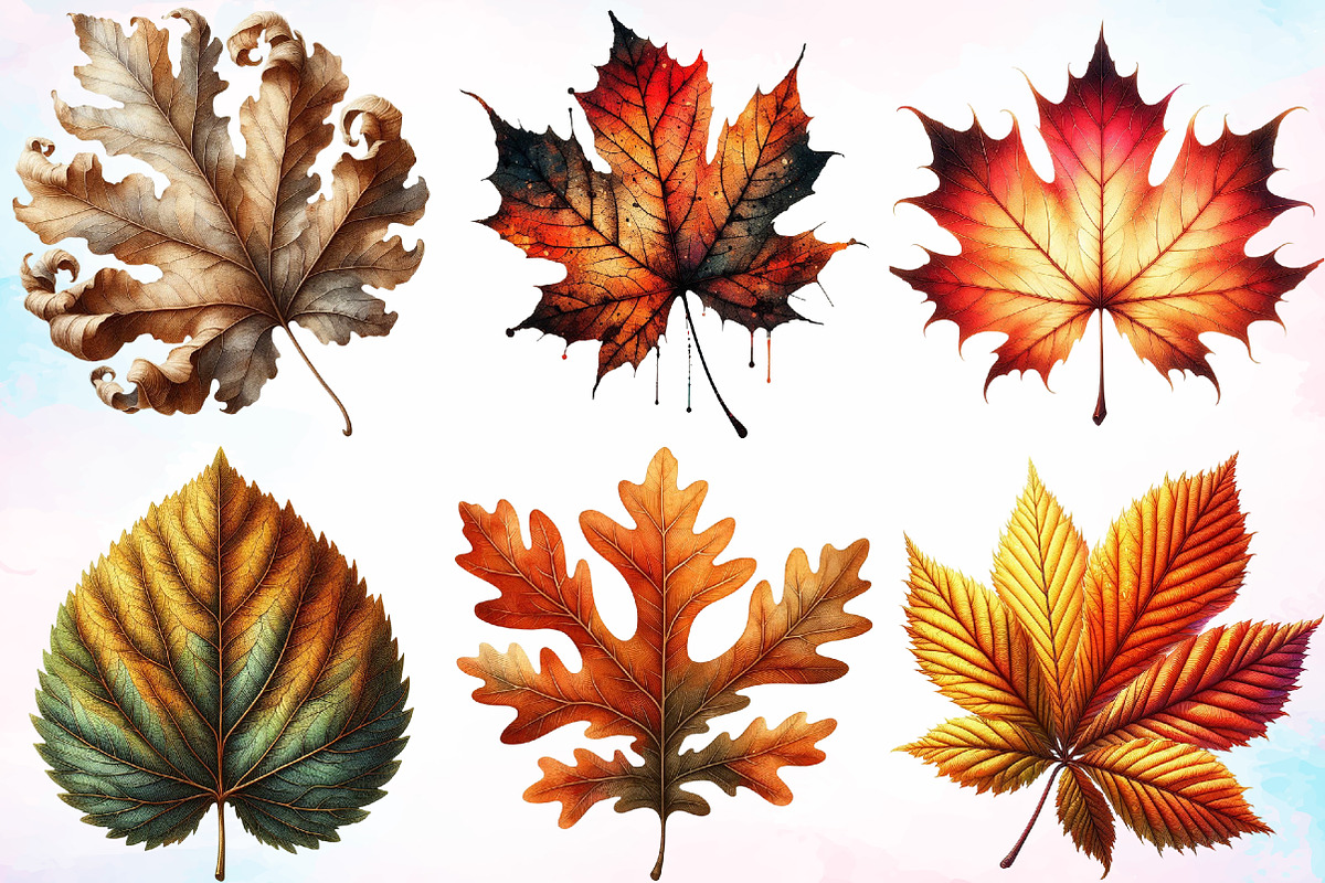 Watercolor Fall Foliage Clipart PNG, a Seasonal Illustration by Canvas Craft (Photo 2 of 7)