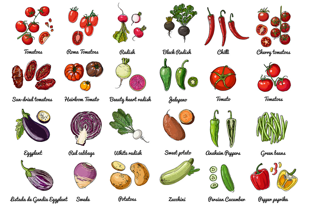 Vector food: vegetables and fruits, a Food Illustration by irina.vaneeva (Photo 8 of 16)