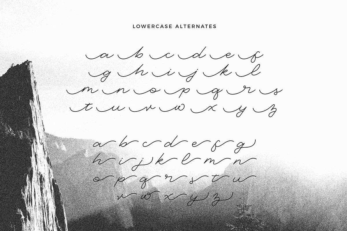 Martha Script, a Script Font by Sarten (Photo 11 of 11)