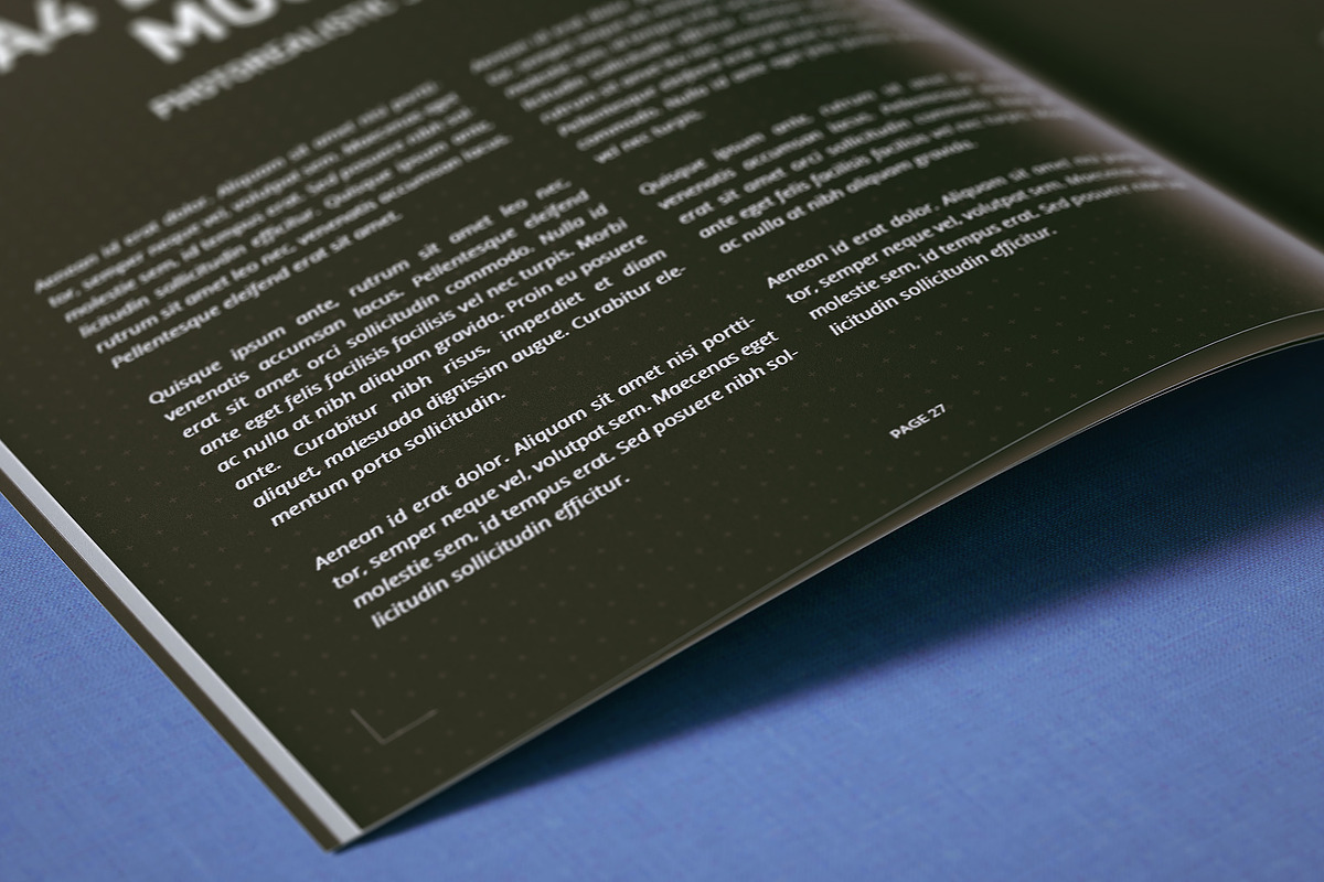 A4 Magazine | Brochure Mock-up, a Books & Magazine Mockup by WebAndCat (Photo 16 of 32)
