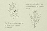 Botanical Procreate stamps, cliparts, a Brush Add-On by Veronika Gotovceva (Thumbnail 2 of 6)