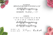 Ladies Script, a Script Font by Moly Mol (Thumbnail 7 of 7)