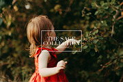 Sage, Moody Lightroom & ACR Presets, an Action Add-On by Darling Josephine (Thumbnail 1 of 27)