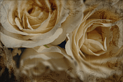 Ornate Overlays, a Texture Graphic by Clikchic Designs (Thumbnail 4 of 7)