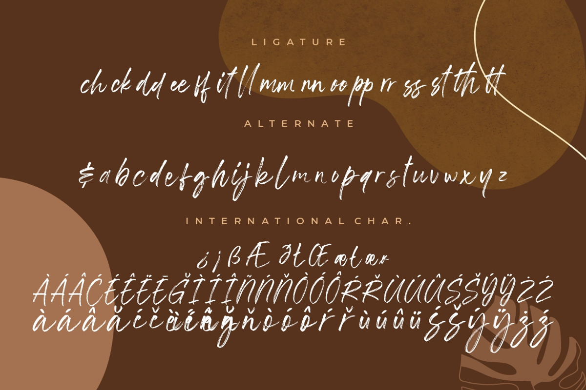 Southwell Brush Script, a Script Font by Creatype Studio (Photo 9 of 9)