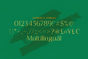 Mogent, a Serif Font by MJtypefoundry (Thumbnail 3 of 8)