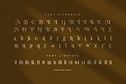 Mellano – Elegant Serif Font, a Serif Font by Perfectype (Thumbnail 8 of 8)