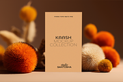Kaash Mockup Collection, a Mac Mockup by Studio Santosha (Thumbnail 7 of 12)