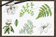 Tropical Big Pack Watercolor Clip, a Decorative Illustration by DioFlow (Thumbnail 5 of 26)