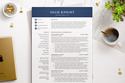 Modern Executive Resume Template, a Resume Template by BestResumes.Co (Thumbnail 1 of 9)