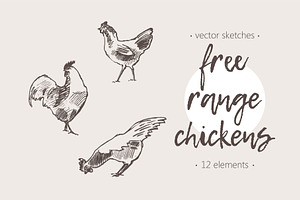 Set of a hand drawn chickens, an Animal Illustration by TheMountBirdStudio