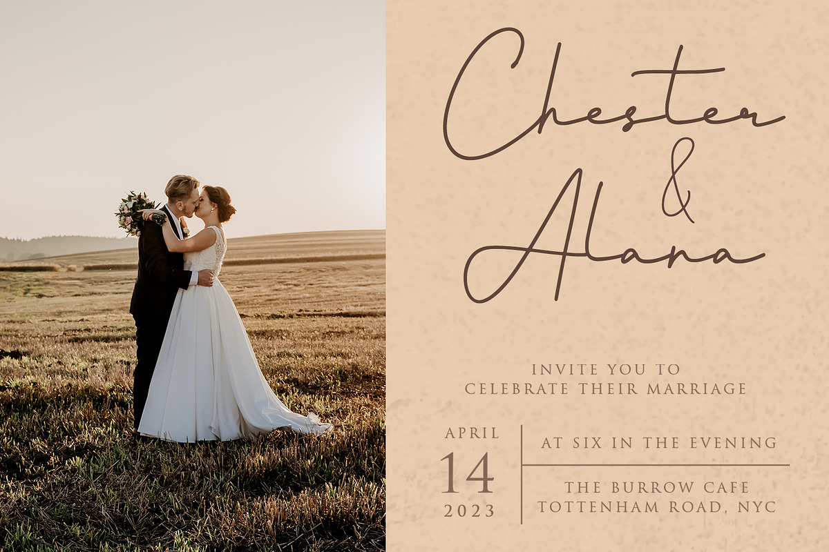 Precious - Signature Font, a Script Font by Alpaprana (Photo 7 of 12)