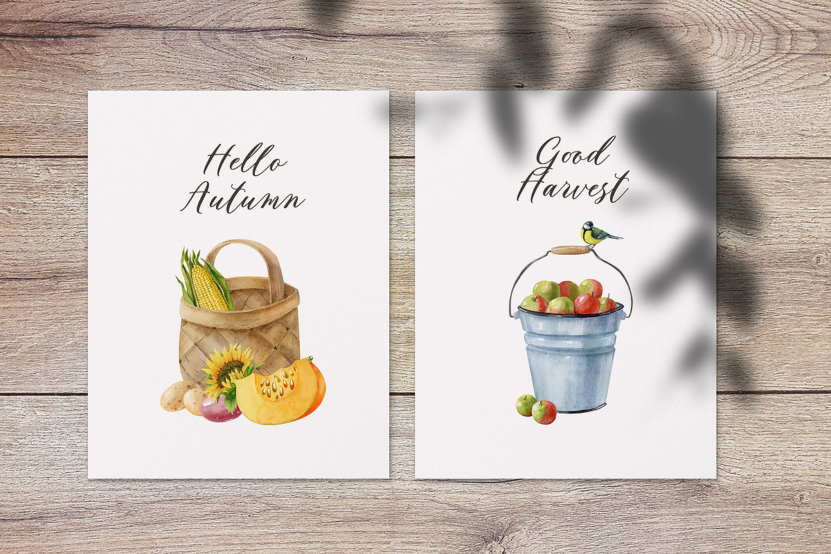 Watercolor harvest collection, a Decorative Illustration by Natalia Fedorova (Photo 8 of 9)