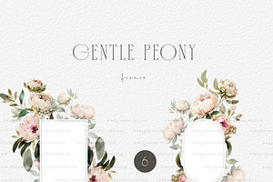 Gentle Peony Floral