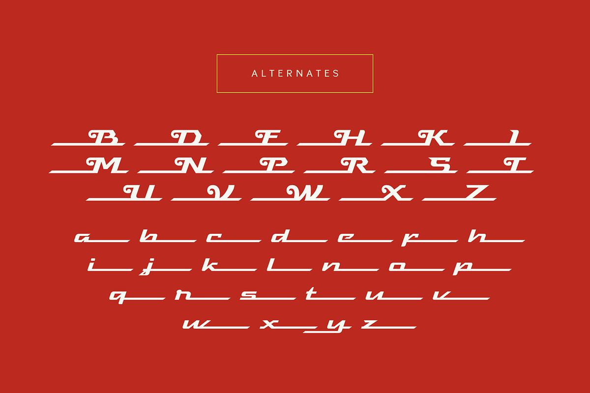 Visca - Vintage Script Font, a Script Font by Sronstudio (Photo 13 of 13)
