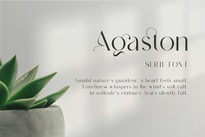 Agaston - Moderen Serif Font