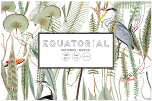 Equatorial Patterns Set!