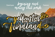 Sweet Candy Signature Script Font, a Script Font by Vampstudio (Thumbnail 8 of 13)
