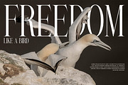Gate - Modern Serif Font, a Serif Font by Luna Shop (Thumbnail 4 of 6)