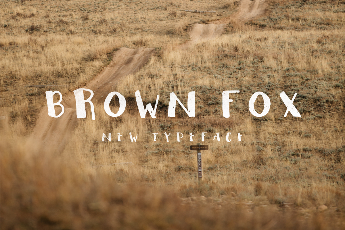 Brown Fox New Typecafe