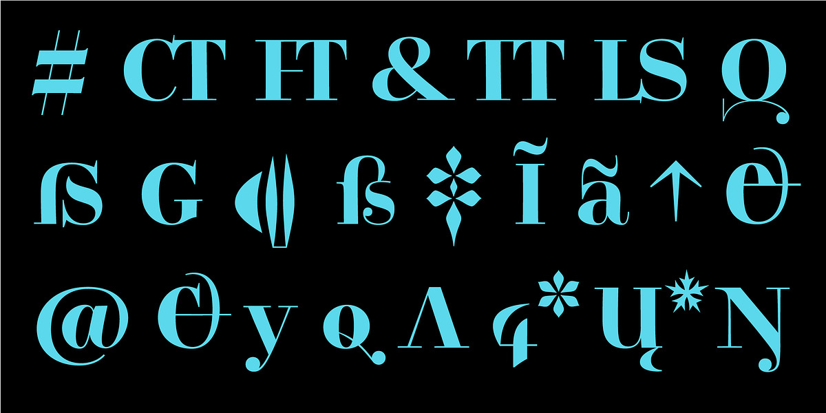 Legit Didone Head, a Serif Font by Finaltype (Photo 9 of 14)