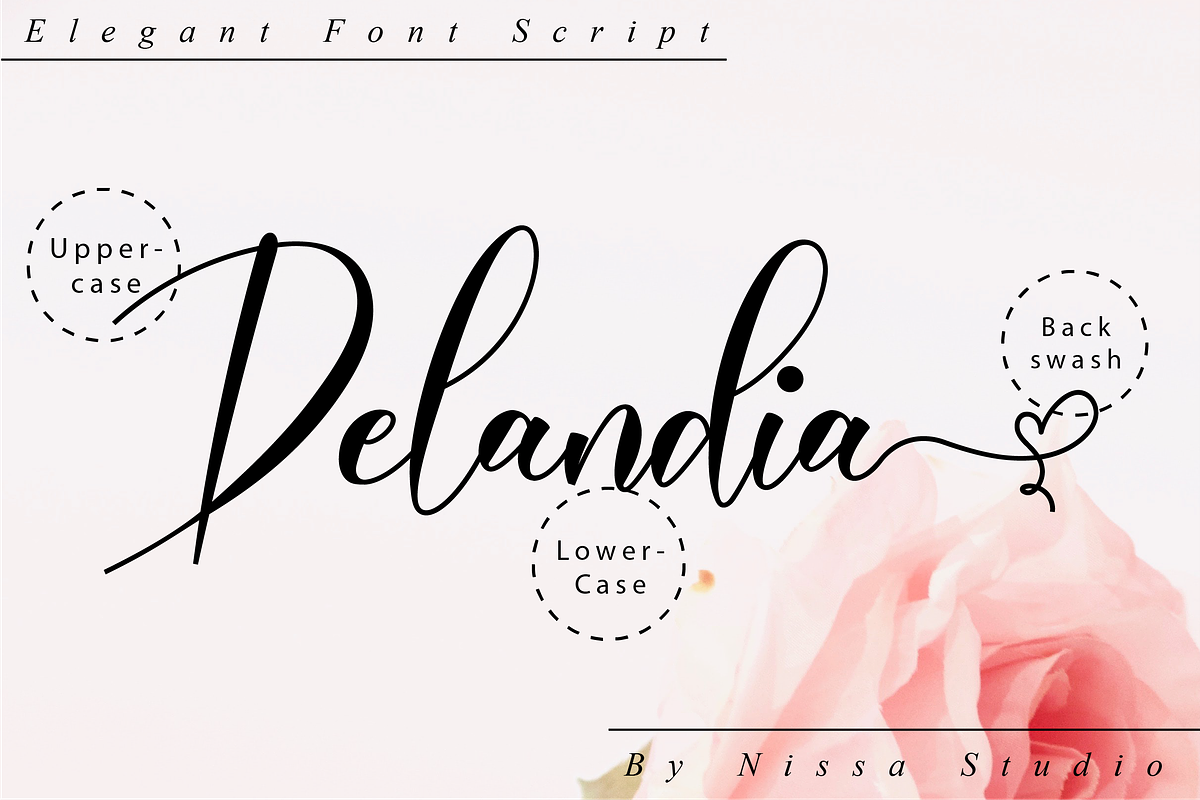 Delandia - A Lovely Script Font, a Script Font by Nissa Studio (Photo 10 of 12)
