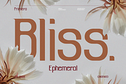 Primiera, a Sans Serif Font by Burntilldead (Thumbnail 3 of 13)