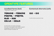 YNF Gross | Display font 2 styles, a Sans Serif Font by YNF (Thumbnail 14 of 34)