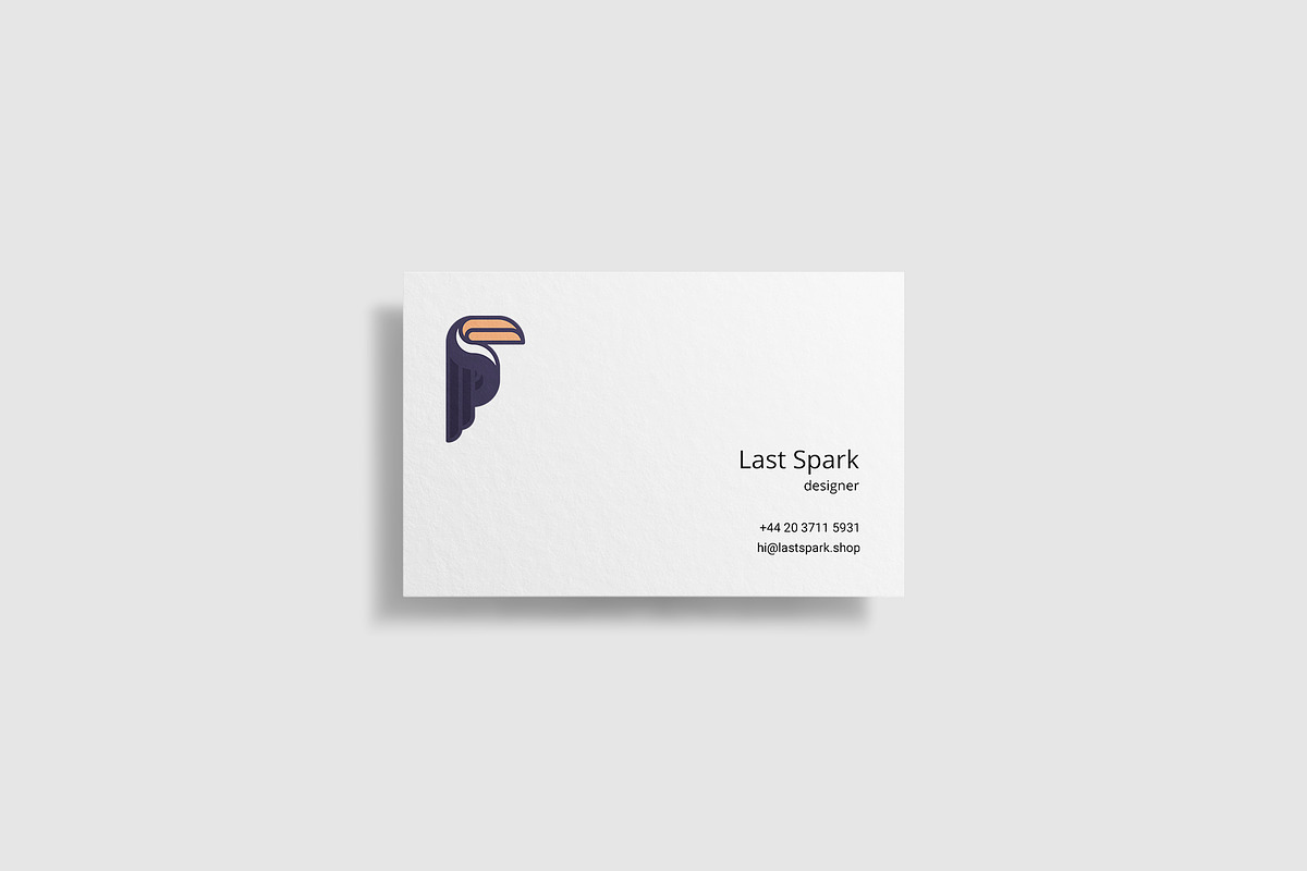 Toucan Logo, a Branding & Logo Template by Last Spark (Photo 4 of 7)