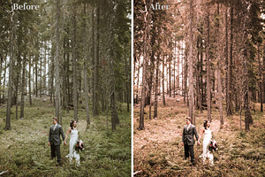 Rustic Wedding - Lightroom Presets