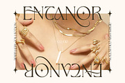 Aveltin Elegant Stylish Serif Font, a Serif Font by Heinzel Std (Thumbnail 2 of 16)