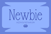 Newbie, a Serif Font by HalfAwakeJake (Thumbnail 1 of 7)