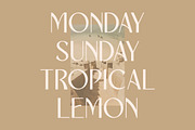 New Machiato Classy Sans Serif, a Sans Serif Font by Storytype Studio (Thumbnail 6 of 15)