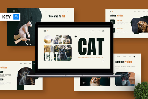 Cat - Pet Care Keynote preview 7