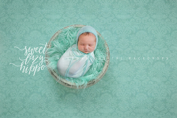 Mint Newborn Digital Backdrop preview 7