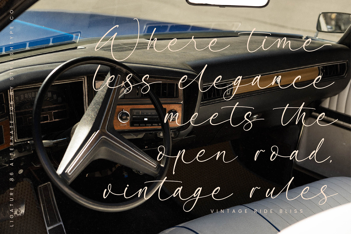Garden Silent Elegant Script Font, a Script Font by stylishtype.co (Photo 13 of 20)