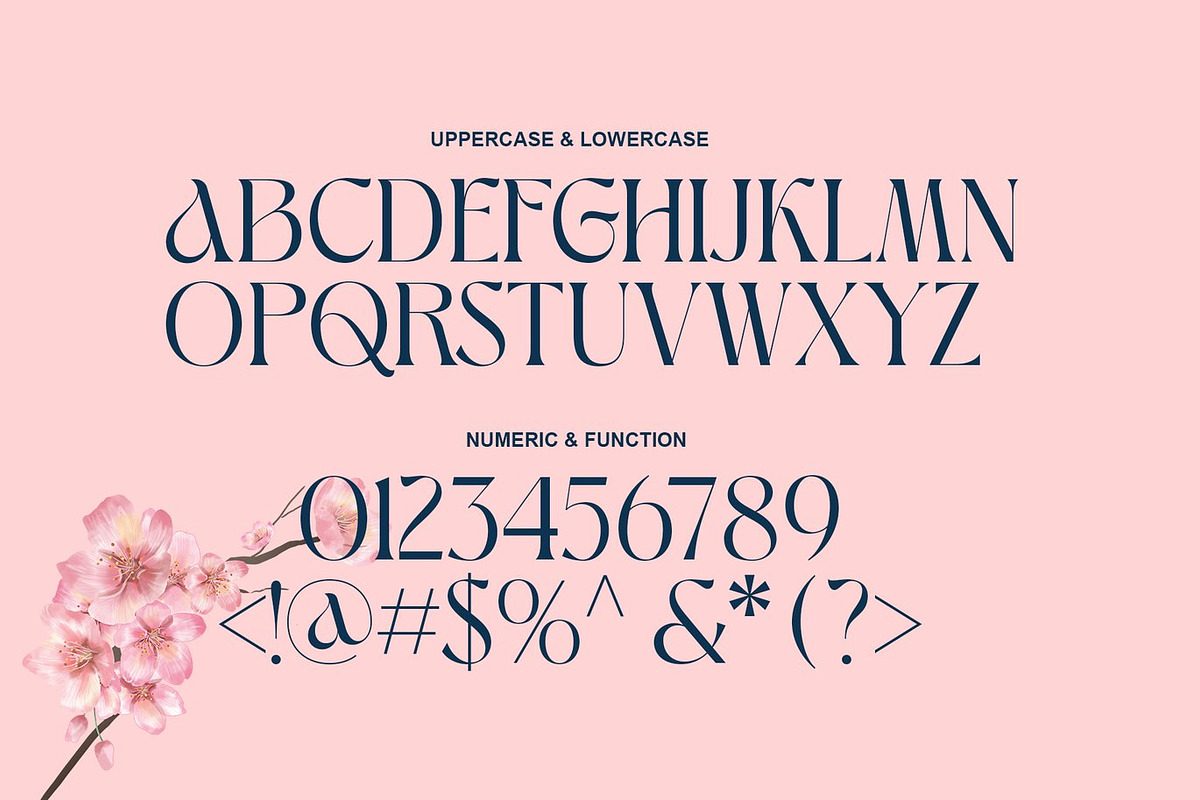 Aluest - Elegant Modern Font, a Serif Font by Luna Shop (Photo 2 of 7)