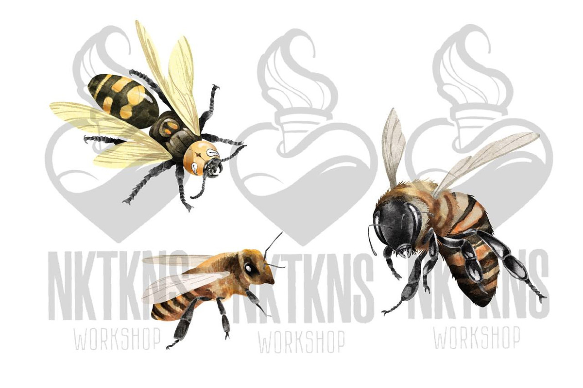 Watercolor Clipart Bee Art BumbleBee, an Animal Illustration by NKTKNS (Photo 2 of 6)