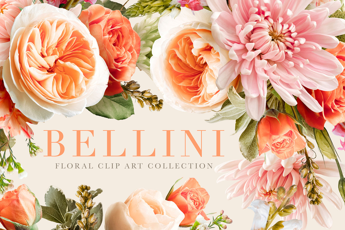 Bellini Floral Clip Art Collection, an Object Graphic by Eclectic Anthology (Photo 7 of 17)