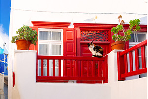 Cat on red balcony of white house in, an Architecture Photo by kavalenkava