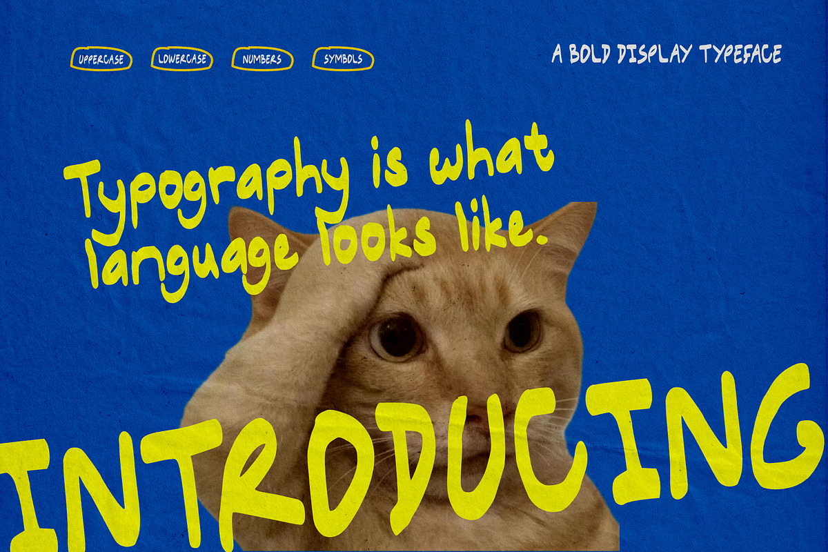 Senorita Bold Display Typeface, a Sans Serif Font by ZAL STUDIO (Photo 2 of 7)