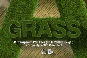 Ms Grass Bitmap Font & PNGs, a Script Font by Creative Graphics
