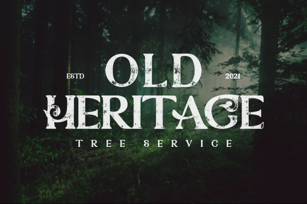 StunningOverturn Modern/Vintage Font, a Serif Font by PompoCo (Photo 1 of 14)