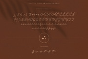 Ballantik Modern Monoline Script, a Script Font by Creatype Studio (Thumbnail 9 of 9)