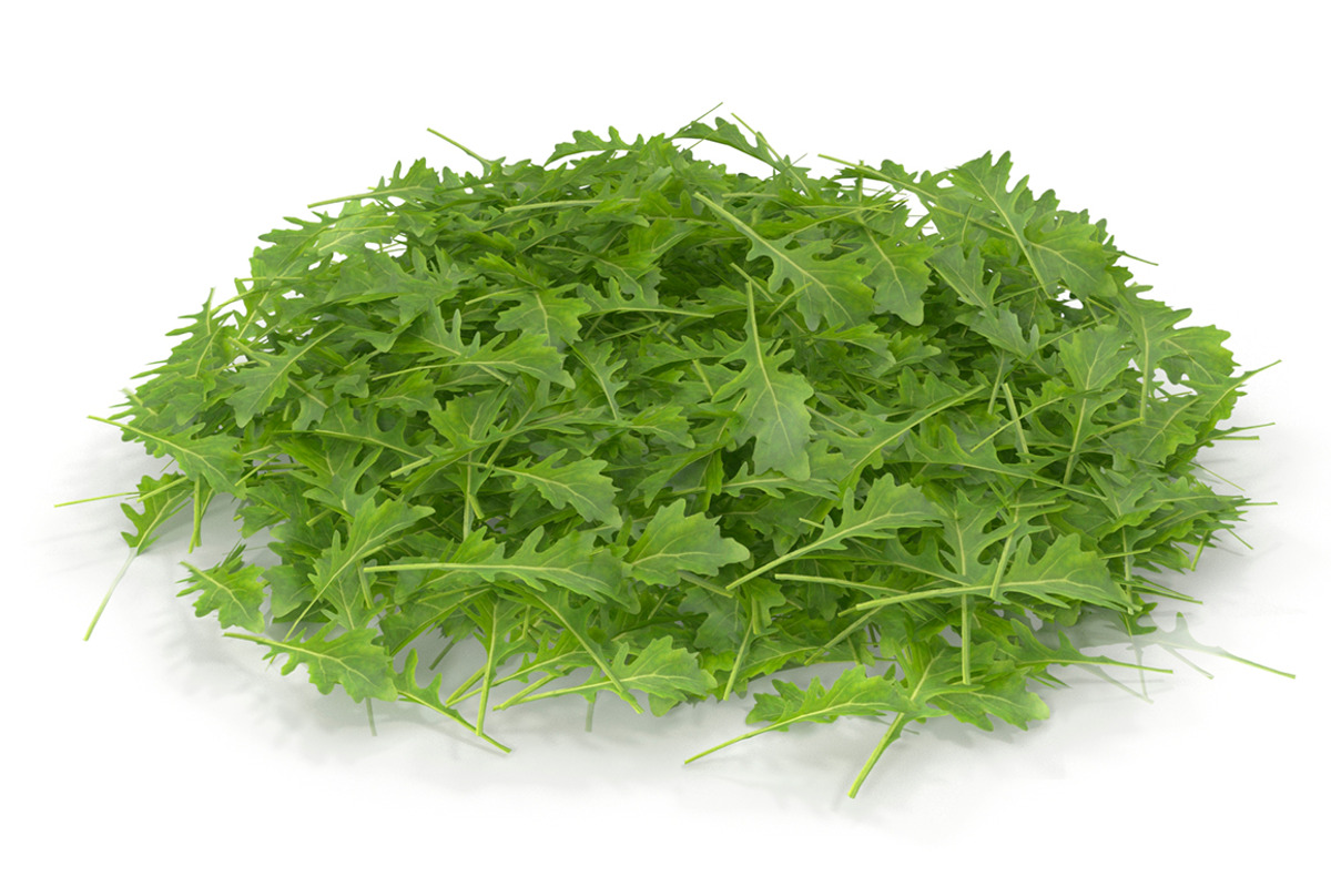 Arugula PS, an Environmental 3D Model by AndrewWhite (Photo 7 of 7)